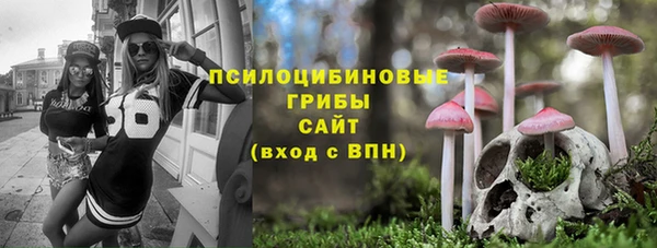 соль ск Навашино