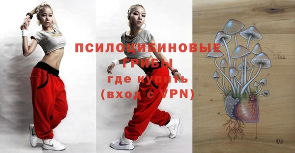spice Болохово