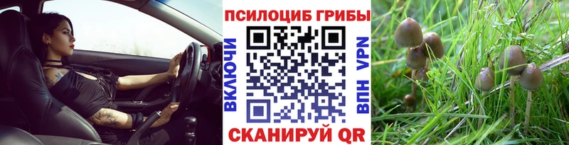 Псилоцибиновые грибы мицелий  Нефтегорск 